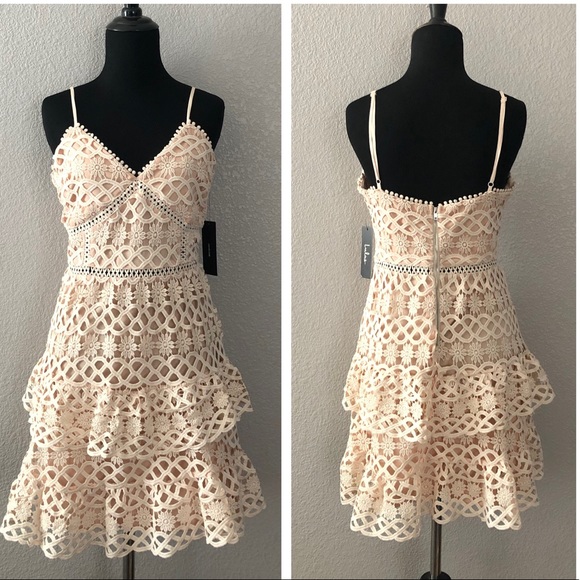 Lulus Dress! - Picture 6 of 7